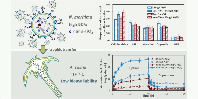纳米二氧化钛影响丰年虾砷的生物有效性及其食物链营养传递