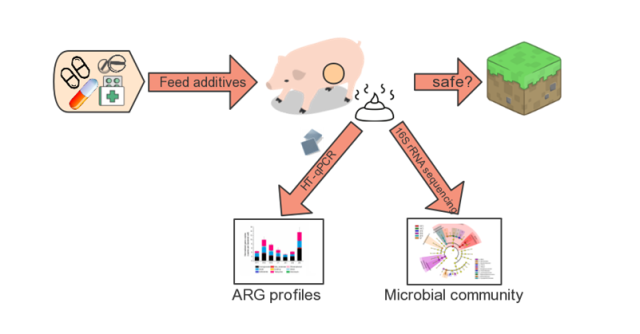 饲料添加剂对猪肠道微生物抗生素抗性的影响