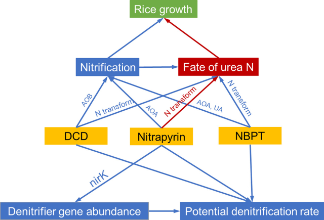 抑制剂影响水稻生长和氧化亚氮排放的关系图