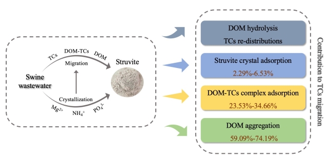 沼液鸟粪石回收过程中DOM演化对TCs迁移的贡献